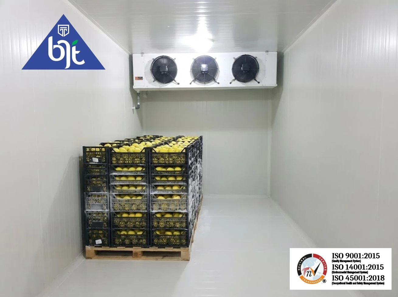 Cold Storage Chiller untuk Penyimpanan Buah Apel: Standar Ideal dan Solusi dari BJT